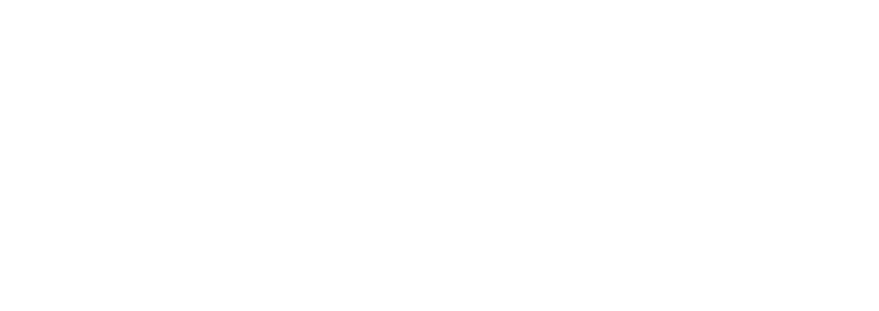 delacon logo