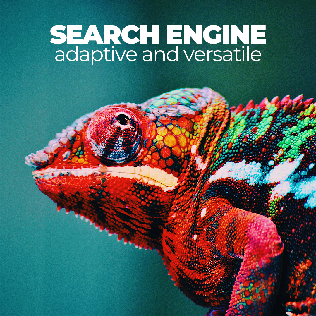 Just as a chameleon adapts to its environment, search engines like Google or Bing adapt by collecting information about search behavior, service usage, and other activities to provide personalized experiences.