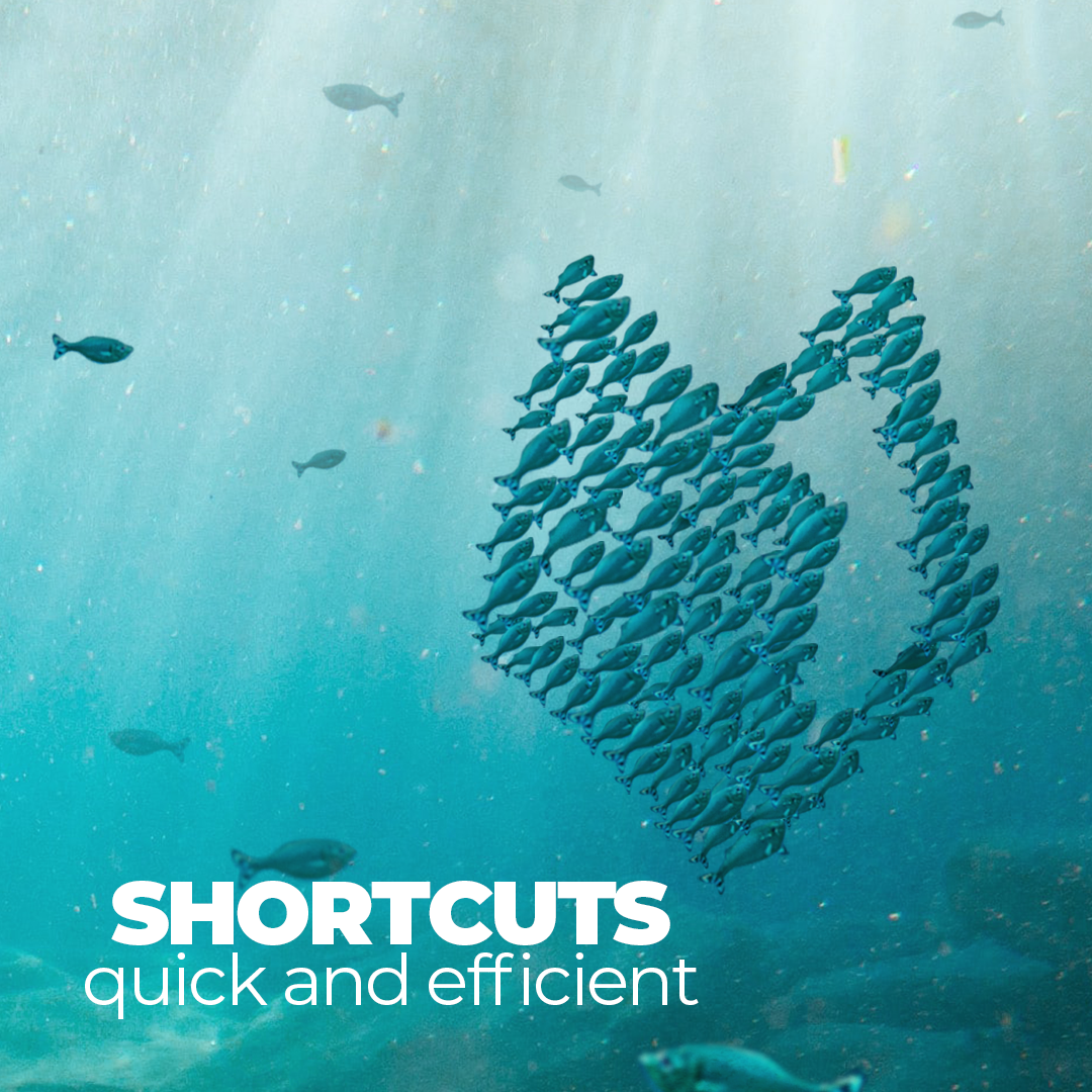 As elegantly and smoothly as fish glide through water, you can also navigate through your everyday work on the computer thanks to a variety of keyboard shortcuts.