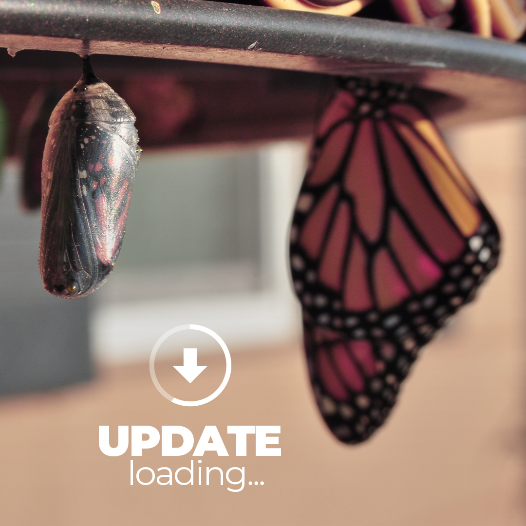 Much like the butterfly that hatches from its cocoon and transforms into a better version of itself, updating your (presentation) software on a regular basis can bring about positive changes and significant improvements.