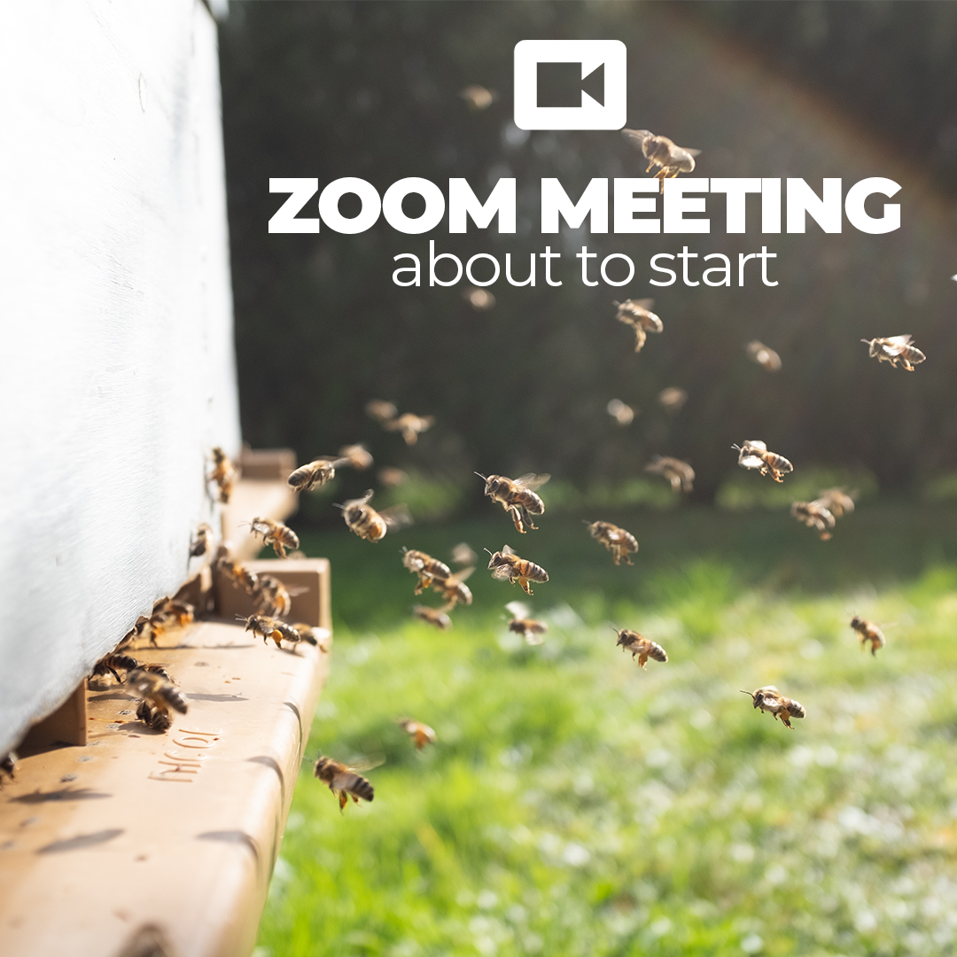 Similar to the impressive number of bees in a hive and their effective cooperation and communication, it is also crucial in a video conference to coordinate the large number of participants in a professional manner.